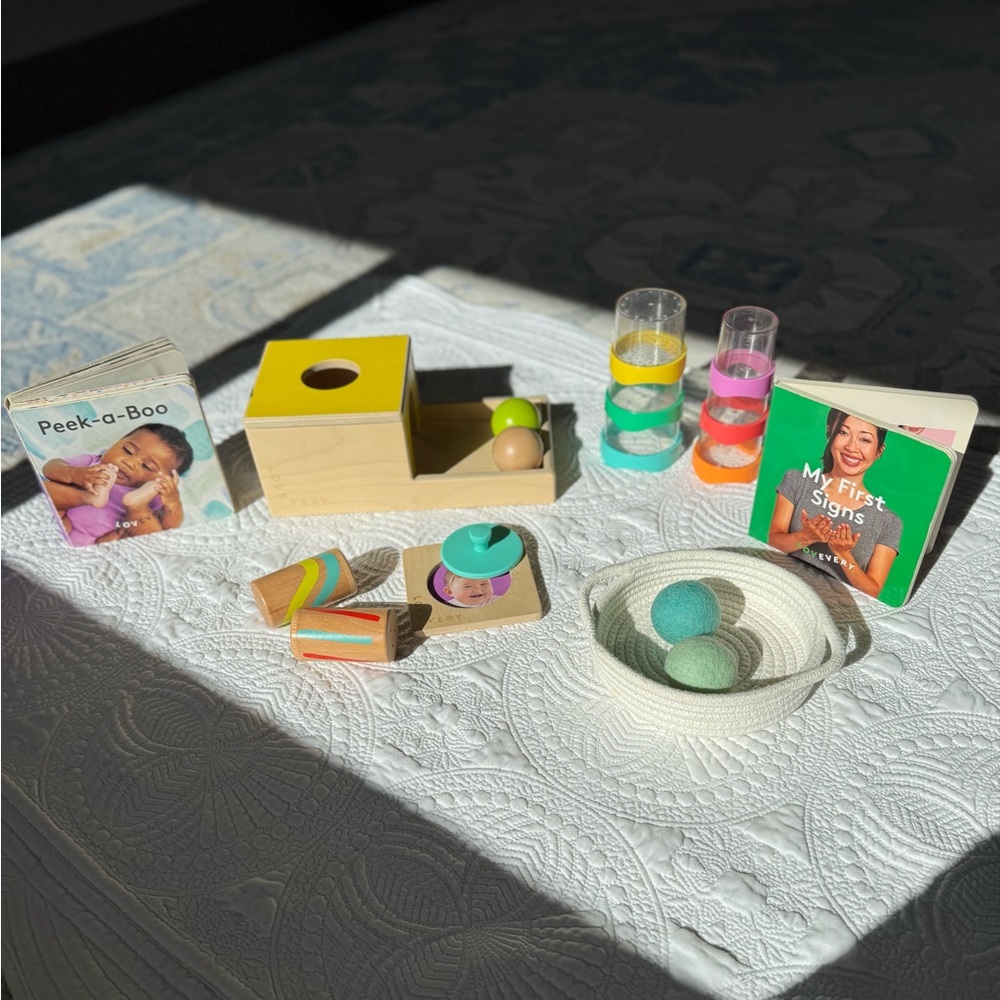 The Inspector Play Kit Lovevery months 7-8